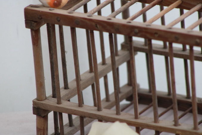 Cage à oiseaux en bois