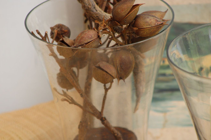 Lot de deux photophores en verre